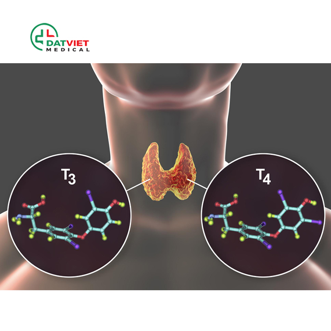 các chỉ số xét nghiệm tuyến giáp