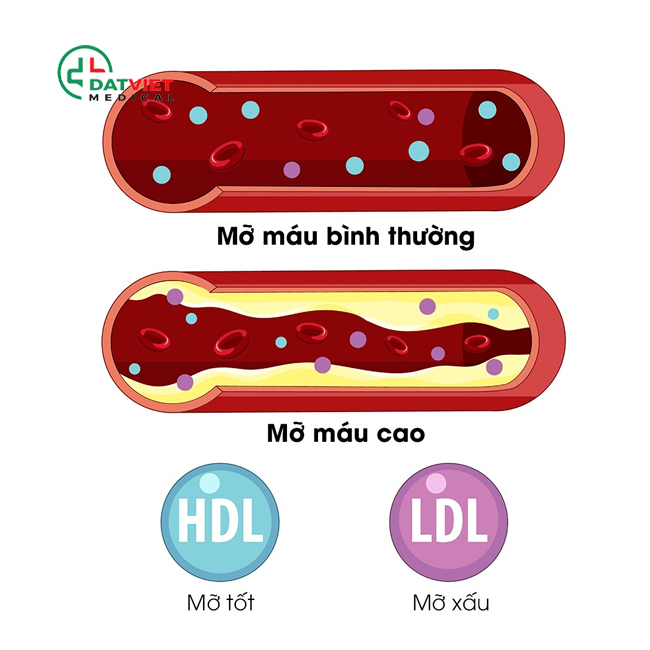 máy sinh hóa au400 chuẩn hãng