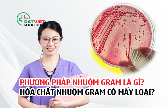 phương pháp nhuộm gram là gì