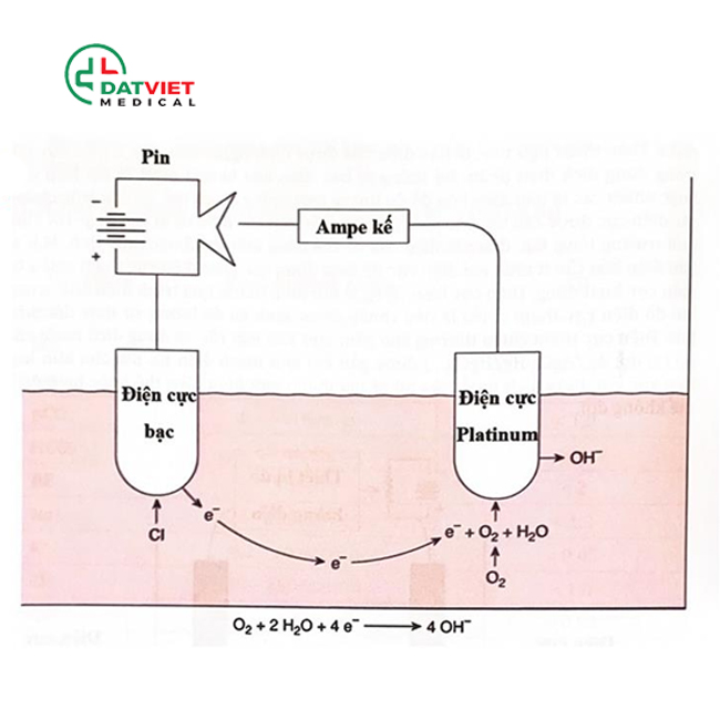 tìm hiểu nguyên lý máy xét nghiệm khí máu 