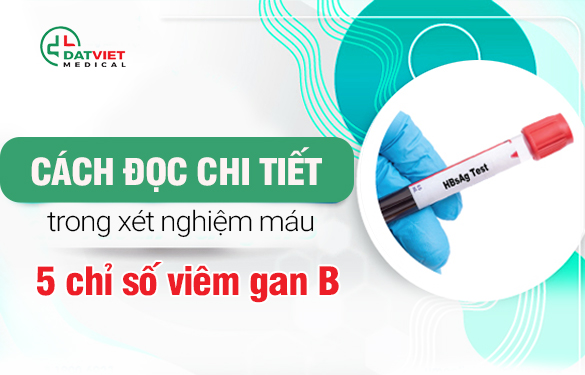 cách đọc chỉ số viêm gan b trong xét nghiệm viêm gan b