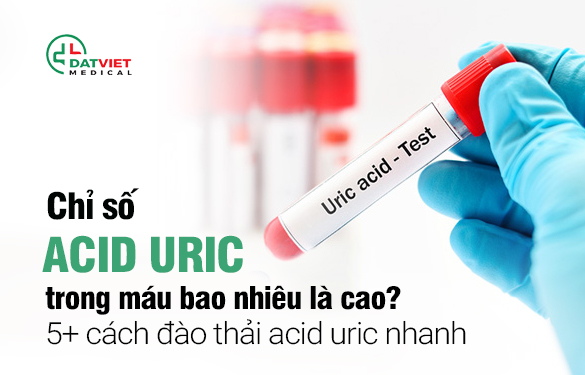 tìm hiểu chỉ số acid trong máu thế nào tốt