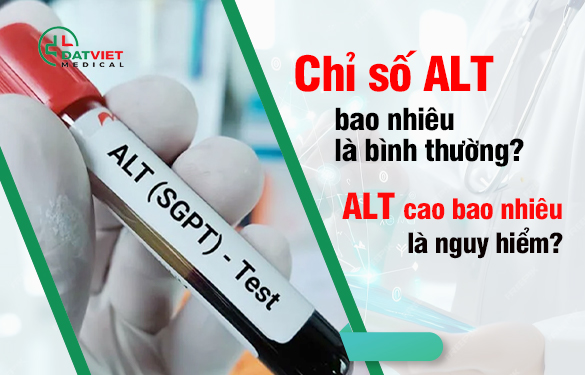 chỉ số alt bình thường là bao nhiêu