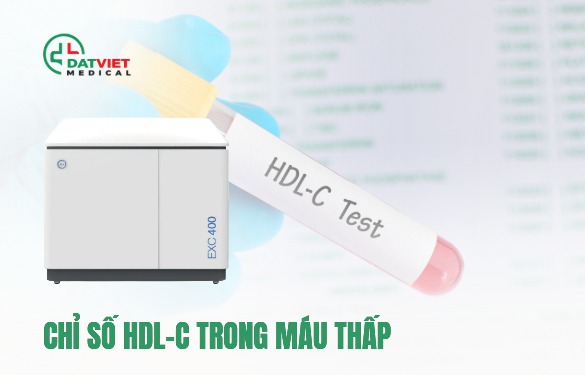 chỉ số hdl c trong máu thấp làm sao