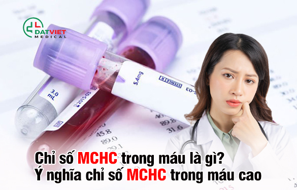 chỉ số mchc trong máu có ý nghĩa gì?