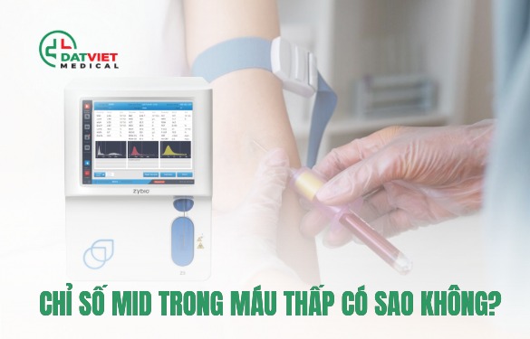 chỉ số mid trong máu thấp có sao không