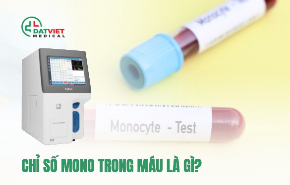 chỉ số mono trong máu là gì