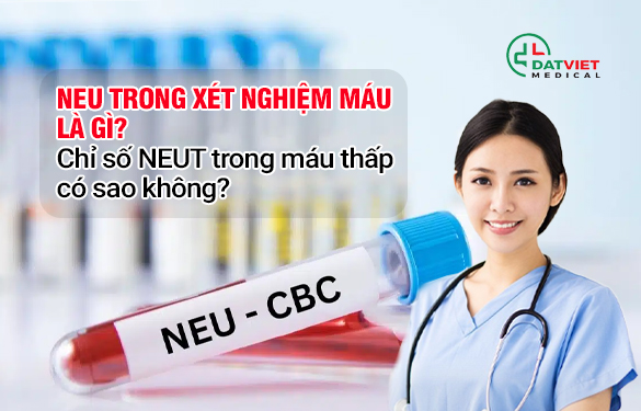 chỉ số neut trong máu thấp là gì