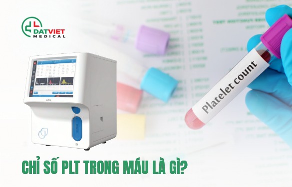 chỉ số plt trong máu có ý nghĩa gì