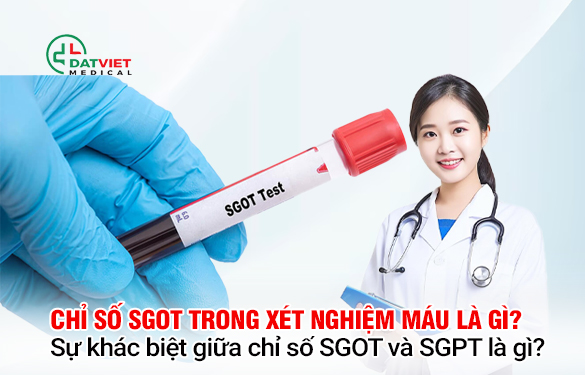 4. Phương pháp xét nghiệm SGPT và SGOT