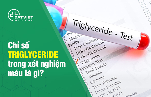 tìm hiểu về chỉ số triglyceride