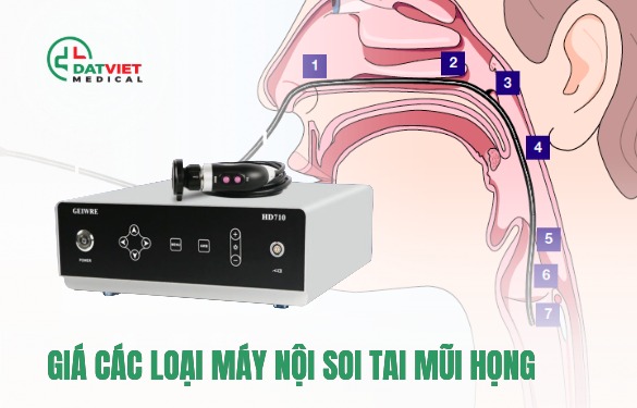 giá các loại máy nội soi tai mũi họng