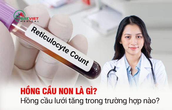 hồng cầu non là gì tăng có nguy hiểm