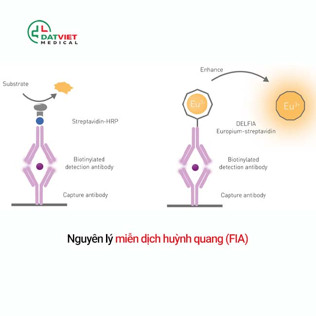 máy xét nghiệm miễn dịch huỳnh quang