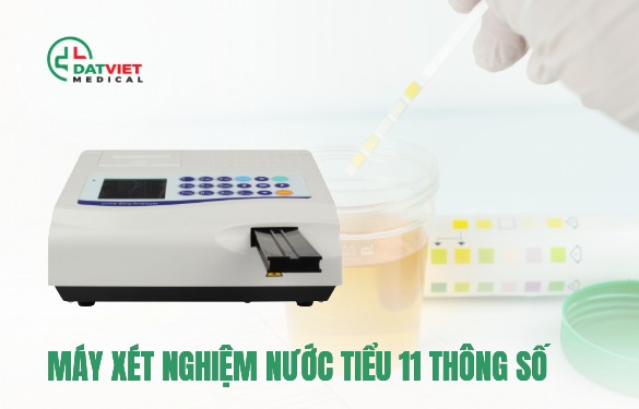 máy xét nghiệm nước tiểu 11 thông số