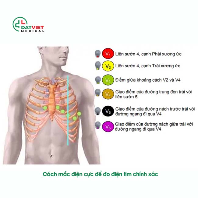 máy theo dõi điện tim nào tốt