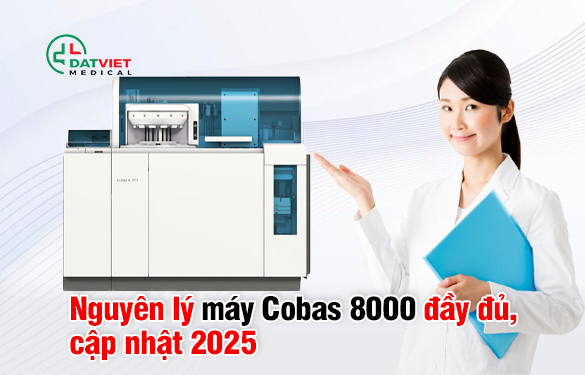 tìm hiểu nguyên lý máy xét nghiệm cobas 8000