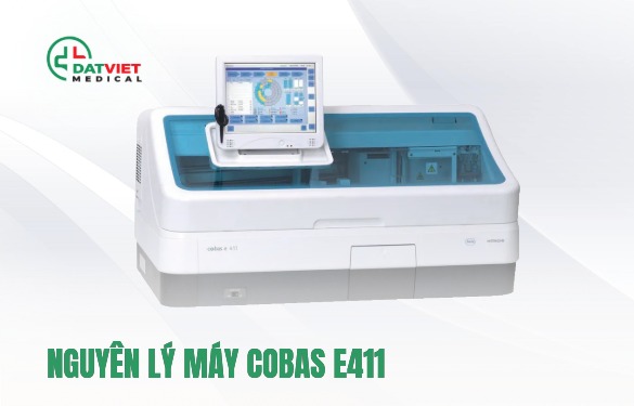 nguyên lý hoạt động của máy cobas e411