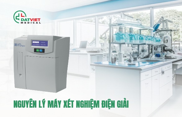 nguyên lý hoạt động của máy điện giải