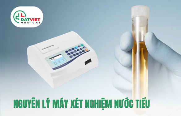 nguyên lý hoạt động của máy xét nghiệm nước tiểu