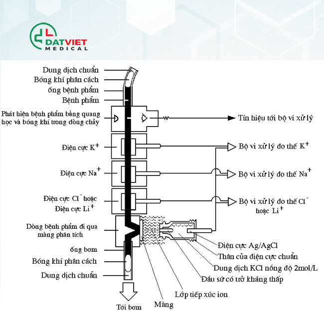 tìm hiểu nguyên lý xét nghiệm điện giải đồ là gì?