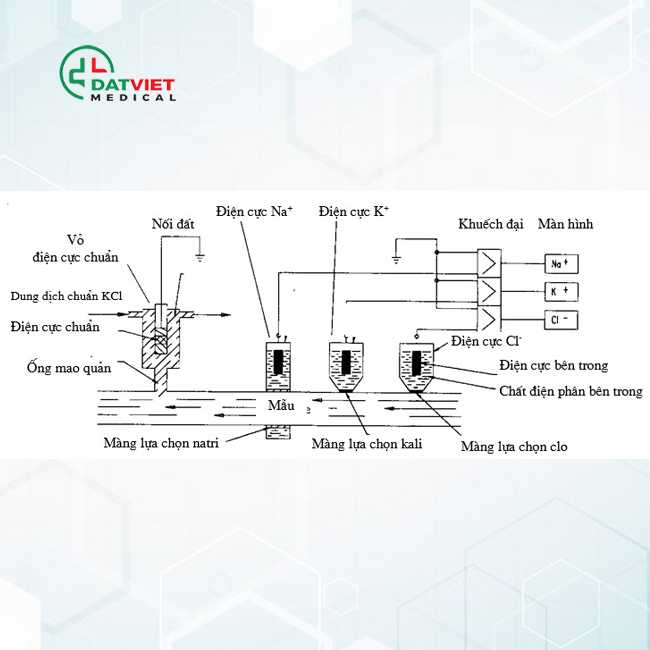 nguyên lý xét nghiệm điện giải đồ