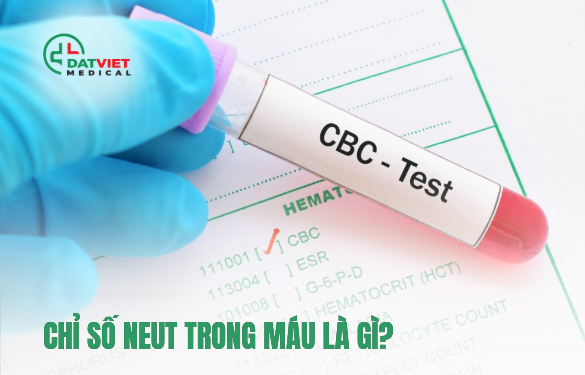 tìm hiểu chỉ số neut trong máu mang ý nghĩa gì